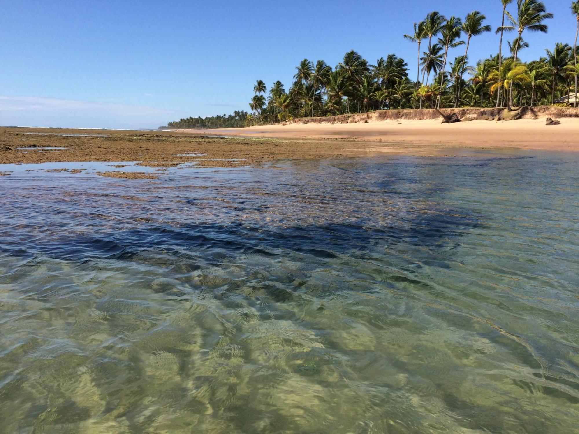 Pousada Velas E Vento - Barra Grande, Taipu De Fora, Marau Barra Grande  Extérieur photo